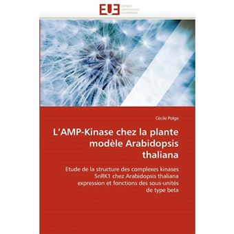 L'Amp-Kinase Chez La Plante Modele Arabidopsis Thaliana - Paperback / softback - 2010 - 1