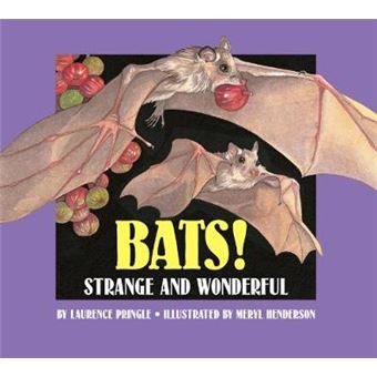 Bats Strange And Wonderful - 1
