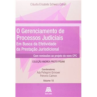 O Gerenciamento de Processos Judiciais. Em Busca de Efetividade Da Prestação Da Jurisdicional - 1