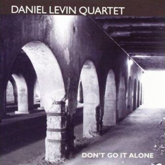 Don'T Go It Alone - Levin, Daniel - 1