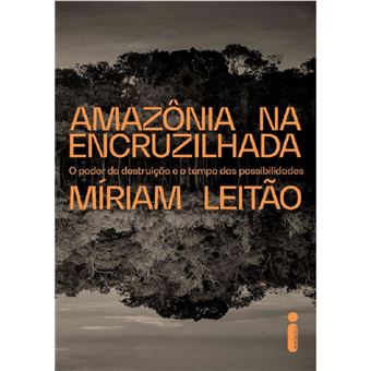 Amazônia na encruzilhada: o poder da destruição e o tempo das possibilidades - 1