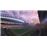 Madden NFL 15 Xbox One_2