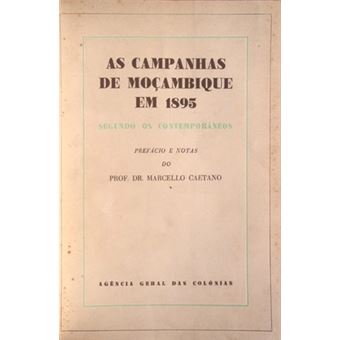 As campanhas de moçambique em 1895. - 1