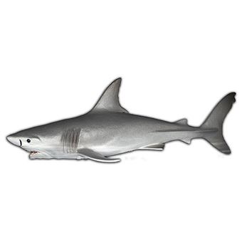 Figura Maia Borges Tubarão Branco 15Cm - 1