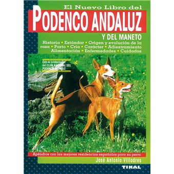 Podenco Andaluz - 1