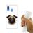 Capa Hapdey para Samsung Galaxy A40 2019 Design Retrato de Pug em Silicone Flexível e TPU_3