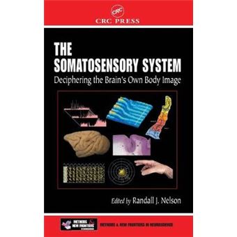 The Somatosensory System - Deciphering the Brain's Own Body Image - Hardback - 2001 - 1