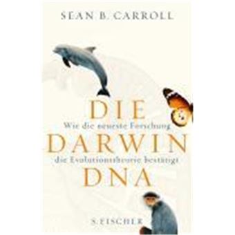 Capa Mole / Paperback - 1