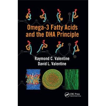 Omega3 Fatty Acids And The Dha Principle - 1