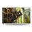 Smart TV Panasonic 4K UHD TX-55GXW904 55" Prateado_0