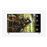 Smart TV Panasonic 4K UHD TX-55GXW904 55" Prateado_1