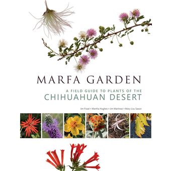 Marfa Garden: A Field Guide to Plants of the Chihuahuan Desert - 1