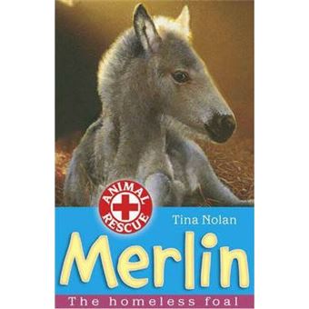 Merlin : The Homeless Foal - 1