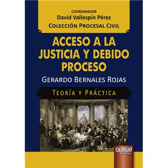 Acceso a La Justicia Y Debido Proceso - Teoría Y Práctica: Colección Procesal Civil Â Coordinador: David Vallespín Pérez - 1