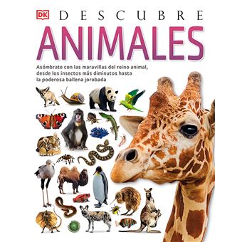 Animales, Descubre - 1