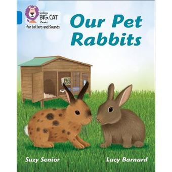 Our Pet Rabbits Band 04Blue Collins Big Cat Phonics For Letters And Sounds - 1