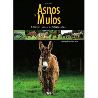 Asnos Y Mulas - 1