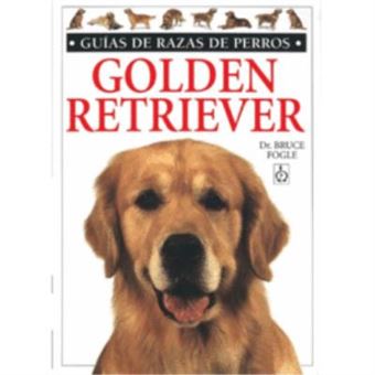 Golden Retriever - 1