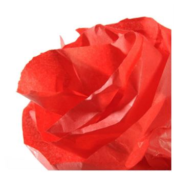 Papel Crepe Canson C200992662 | Vermelho - 1