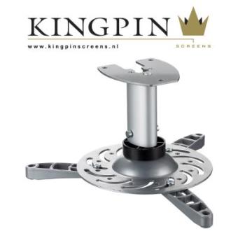 Kingpin Screens Vertical Projector Mount - 1