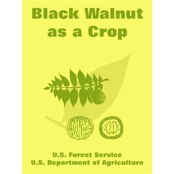 Black Walnut as a Crop - Paperback / softback - 2005 - 1