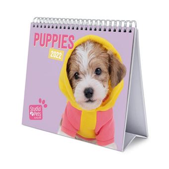Calendário de Mesa Deluxe 2022 Erik Editores Studio Pets Dogs - 1