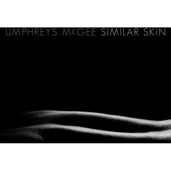 Similar Skin - 1