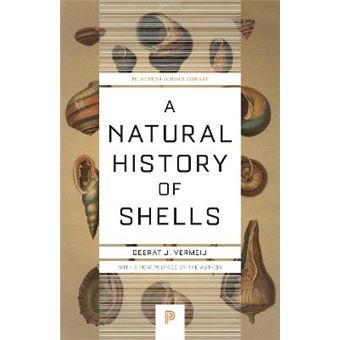 A Natural History Of Shells - 1