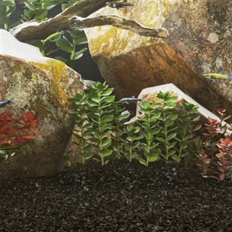 Areia para aquário vidaXL | 10 kg | 0,2-2 mm | Preto - 1