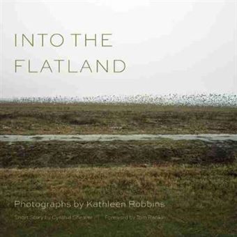 Into the Flatland - Hardback - 2015 - 1