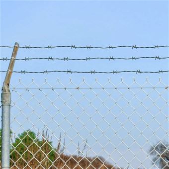 Rede de Arame Farpado vidaXL em Rolo Verde 100 m - 1