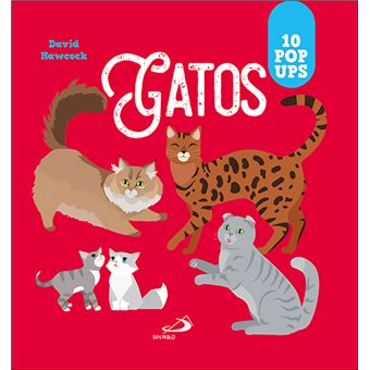 Gatos - 1