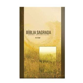 Biblia Nvi Grande Novo Testamento 2 Cores Capa Brochura Neutra - 1