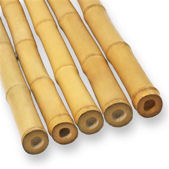 Pacote de 5 Bastões Maderterraneo decorativos de Bambu | Ø9-11 cmx200 cm - 1