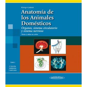 König, J: Anatomía de los animales domésticos - 1