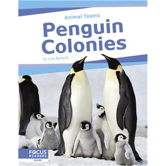 Penguin Colonies (Animal Teams) - 1