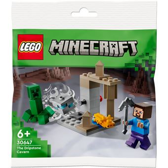 LEGO Minecraft Die Tropfsteinhöhle 30647 - 1