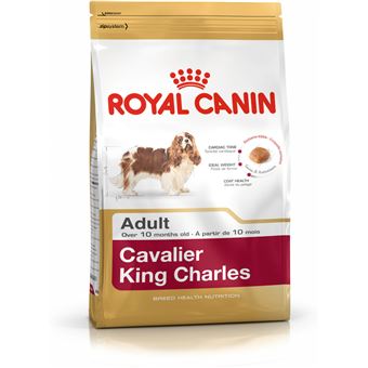 Comida seca para cão Royal Canin Cavalier King Charles Adult Adulto 1,5 kg - 1