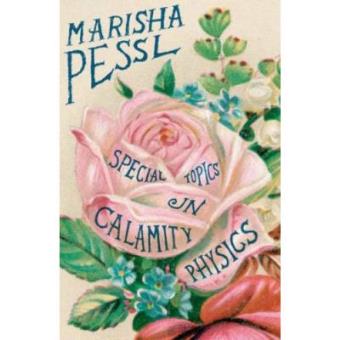 Special topics in calamity physics - 1