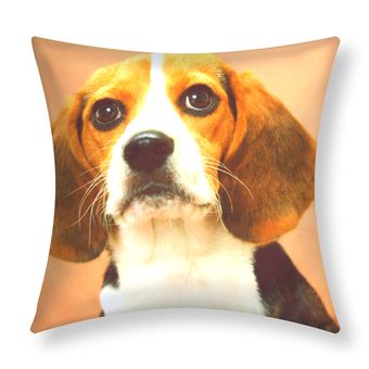 Conjunto de 2 Capas de Almofada Avizar | 40x40 cm | Beagle Dog Design - 1