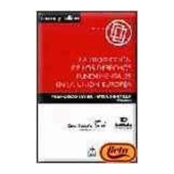 La proteccion derechos fundamentales union europea - 1