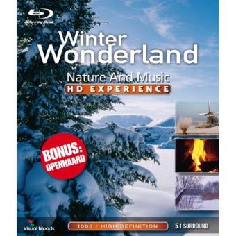 Winter Wonderland  Hd Experience - 1