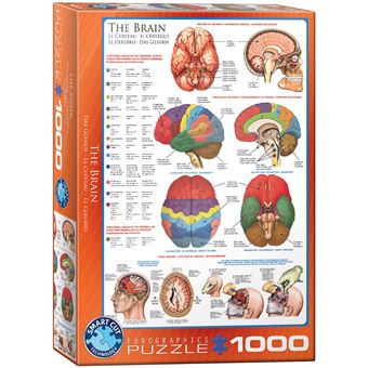 Puzzle Eurographics O Cerebro - The Brain | 1000 Peças - 1