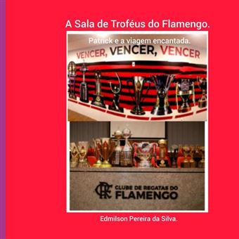 A Sala De Troféus Do Flamengo - 1