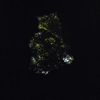 Precipice - Download Included - 1