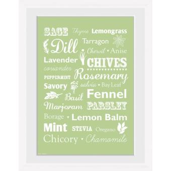 Poster Emoldurado Herb Types White 40 x 30 cm - 1