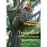 Treehouses and Playhouses You Can Build_0