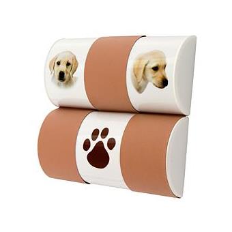 Big Ben Magic Tube Nintendogs + 2 Stylus DS