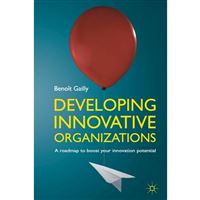 Developing innovative organizations