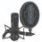 Microfone Studio STC20 Sontronics_0